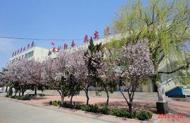 萊州市第六中學 萊州市第六中學