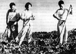 胡耀邦在徐建春所在的後呂村勞動