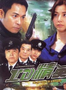 真心英雄[2009年版TVB電視劇]
