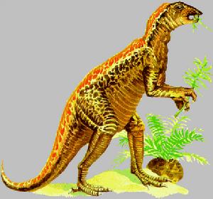 異齒龍科 異齒龍科