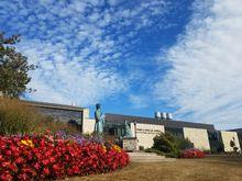 David A. Straz Jr 藝術中心