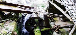 澤雅四連堆 澤雅四連堆