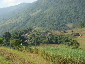 弄壩自然村 弄壩自然村