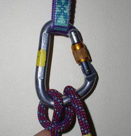 義大利半結 義大利半結