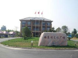 梅東村[浙江省杭州市蕭山區黨灣鎮梅東村]