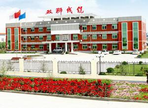 新鄉市雙獅線纜有限公司