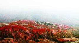 土地倫理 土地倫理