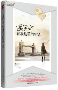 遇見你，在我最美的年華