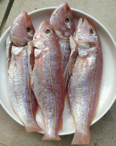 香煎金絲魚 香煎金絲魚