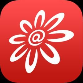 掌上生活 掌上生活