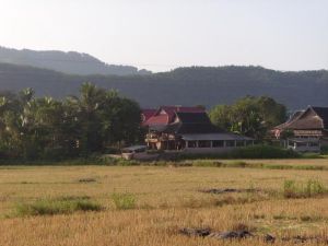 勐崗自然村 勐崗自然村