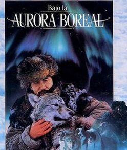 極光下 極光下