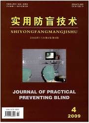《實用防盲技術》 《實用防盲技術》