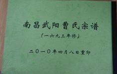 武陽鎮[江西省南昌縣武陽鎮]