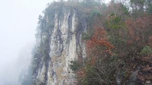 （圖）楊林橋鎮