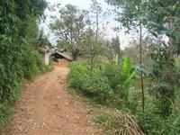 下施家自然村 下施家自然村