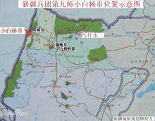 《小白楊》[新疆維吾爾自治區擬建縣級市]