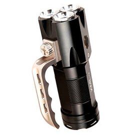 胎兒心室強光點 胎兒心室強光點