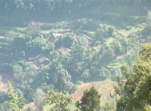 坪地大石頭村 坪地大石頭村