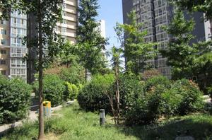 首科花園 首科花園