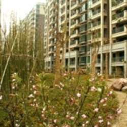 九亭明珠苑一期至四期 九亭明珠苑一期至四期