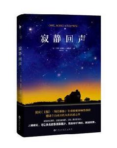 寂靜回聲 寂靜回聲