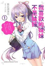 我喜歡的是妹妹但不是妹妹[惠比須清司著，ぎん太郎插畫輕小說]