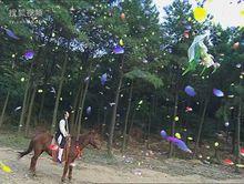 歡天喜地七仙女劇照