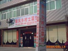 周洛順風 周洛順風