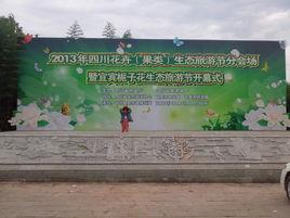 宜賓梔子花節 宜賓梔子花節