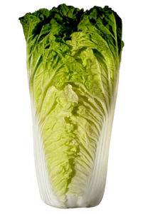 北京小雜65號 北京小雜65號