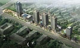 紫薇國際廣場 紫薇國際廣場