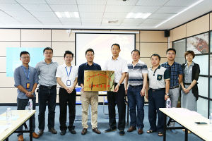 泉州市速騰網路科技有限公司