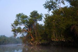 孫德爾本斯 孫德爾本斯