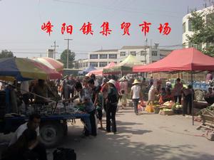 峰陽鎮集貿市場