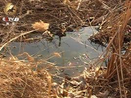 西景萌村 西景萌村