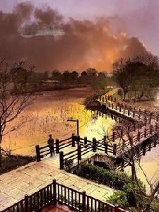 太湖圖影濕地文化園 太湖圖影濕地文化園