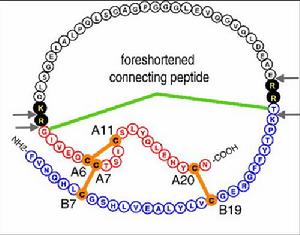三維活胰中西醫結合療法