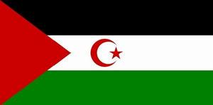 阿拉伯撒哈拉民主共和國
