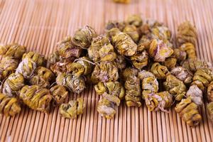 雁盪山鐵皮石斛