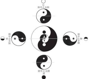 太極圖解陰陽學說及其病機
