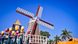 南山荷蘭花卉小鎮 南山荷蘭花卉小鎮