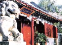 倪哲明[浙江工業大學教授]