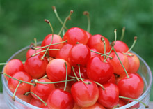 櫻桃桔子粥 櫻桃桔子粥