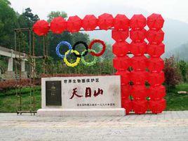 天目山風景區 天目山風景區