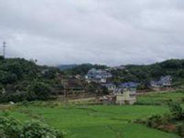 張家塘村 張家塘村