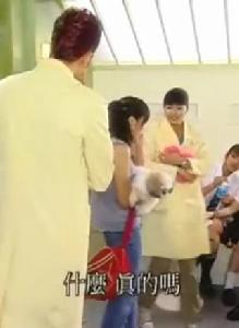 我的寵物老公 我的寵物老公