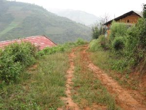 樹林寨村 樹林寨村