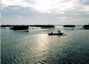 焦崗湖旅遊區 焦崗湖旅遊區