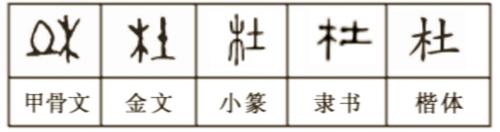 杜[漢語漢字]